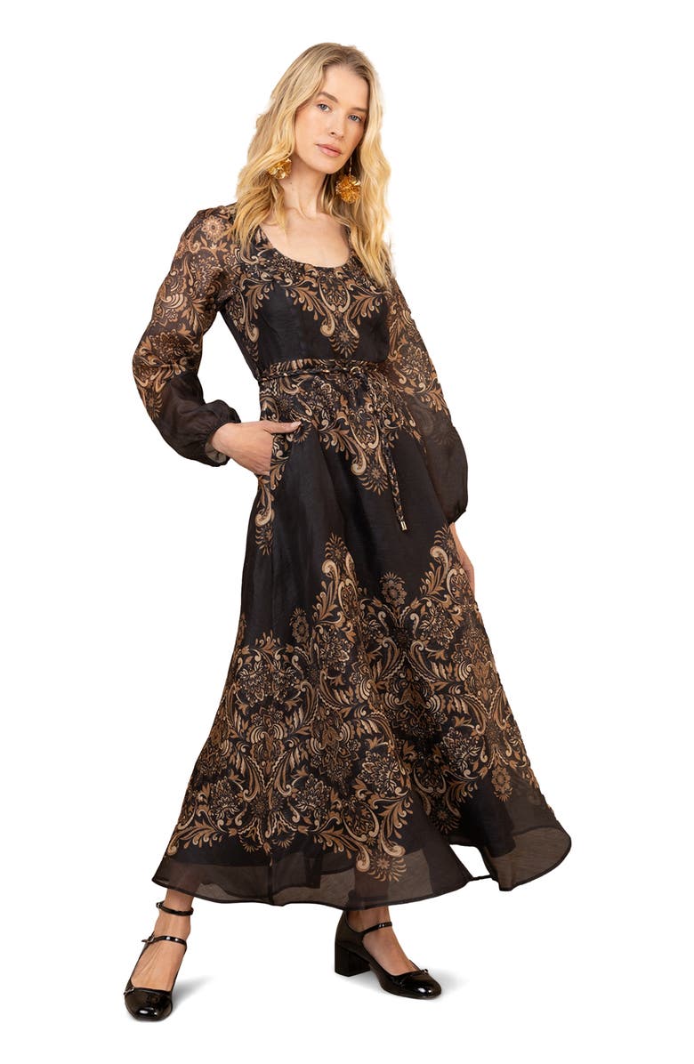 Hale Bob Aspyn Organza Maxi Dress, Main, color, Black