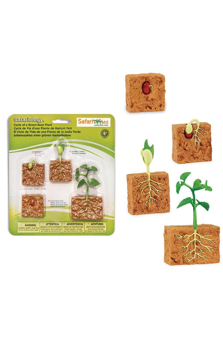Safari Ltd. Life Cycle Of A Green Bean Plant, Alternate, color, NO COLOR