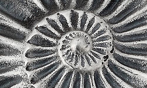 Samuel B. Sterling Silver Shell Motif Pendant In Metallic