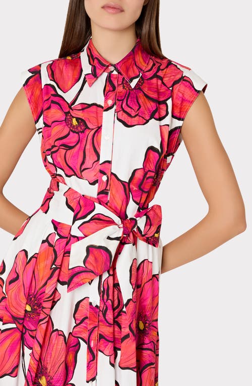 Milly Jules Windflower Stretch Cotton Midi Shirtdress In Coral Multi