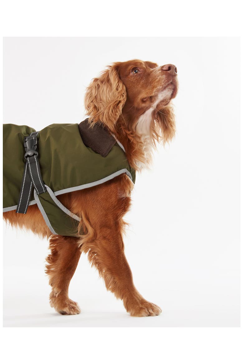 Monmouth Waterproof Dog Coat, Alternate, color, OLIVE