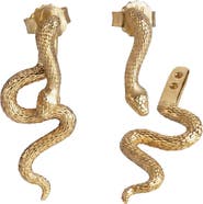 Awe Inspired Mystic Serpent Stud Earrings
