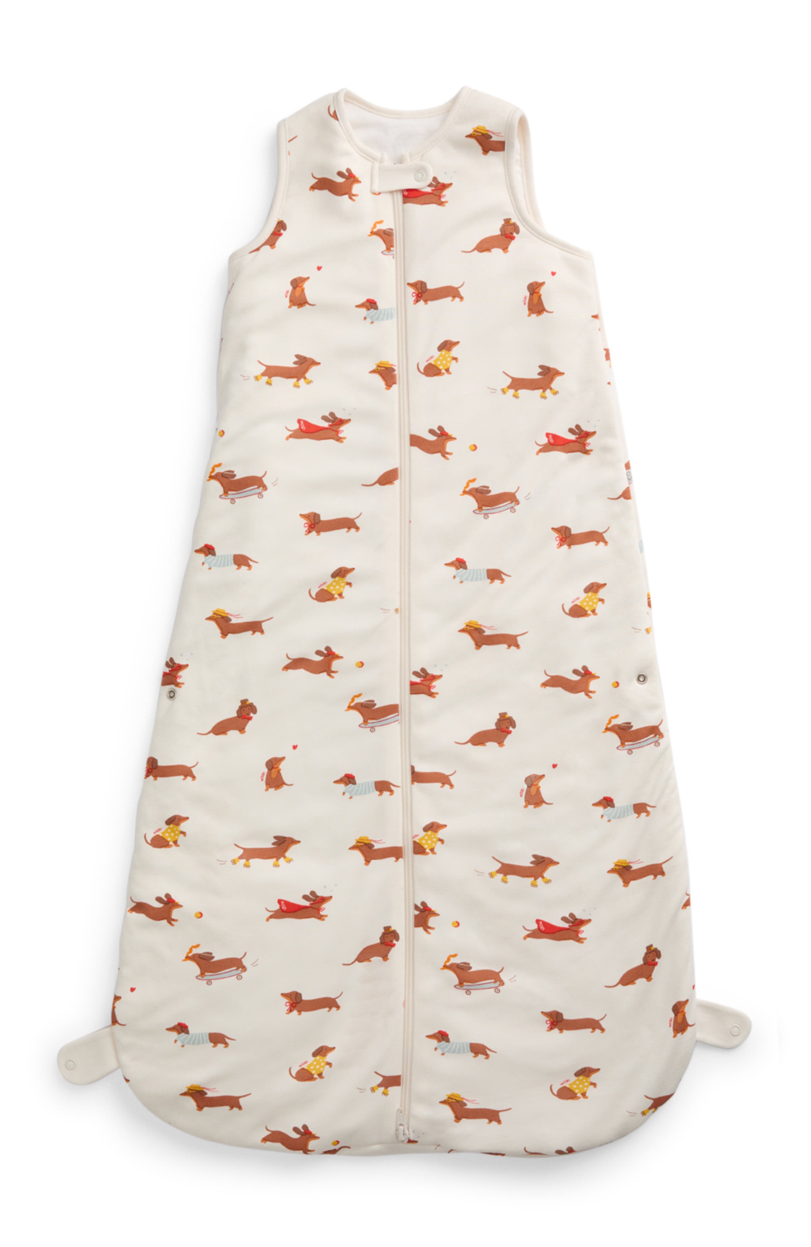 Sausage Dog Print