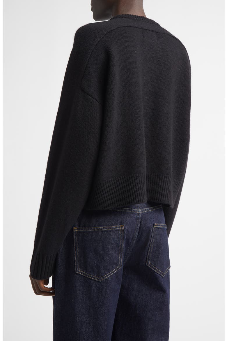 Bruzzi Oversize Wool & Cashmere Sweater, Alternate, color, BLACK