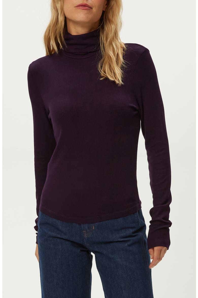 Tara Rib Turtleneck, Main, color, GLIMMER