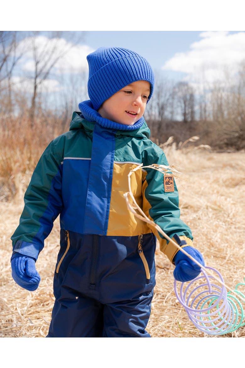 Boy Rib Knit Beanie Hat, Alternate, color, Royal Blue