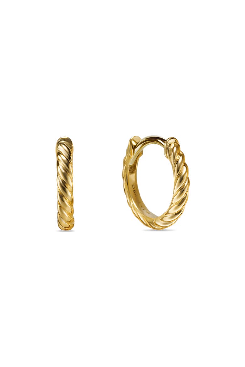 Sculpted Cable Huggie Hoop Earrings video