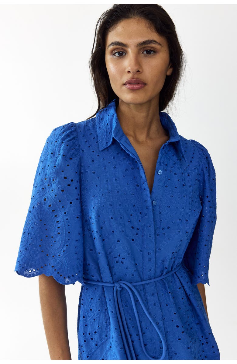 H&M Broderie-anglaise Cotton Shirt Dress, Alternate, color, Bright Blue