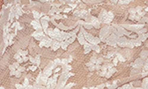 Marina Lace Mini Dress In Champagne
