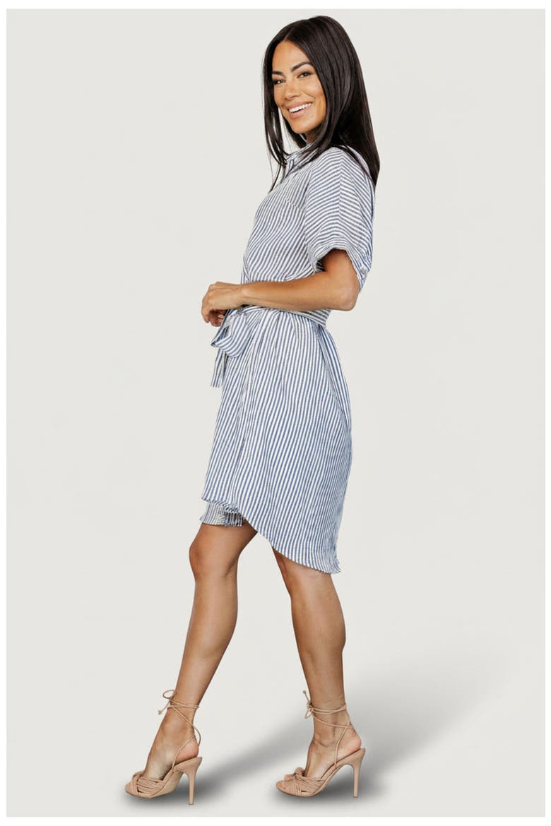Nautical Shirt Dress, Alternate, color, Blue Stripe