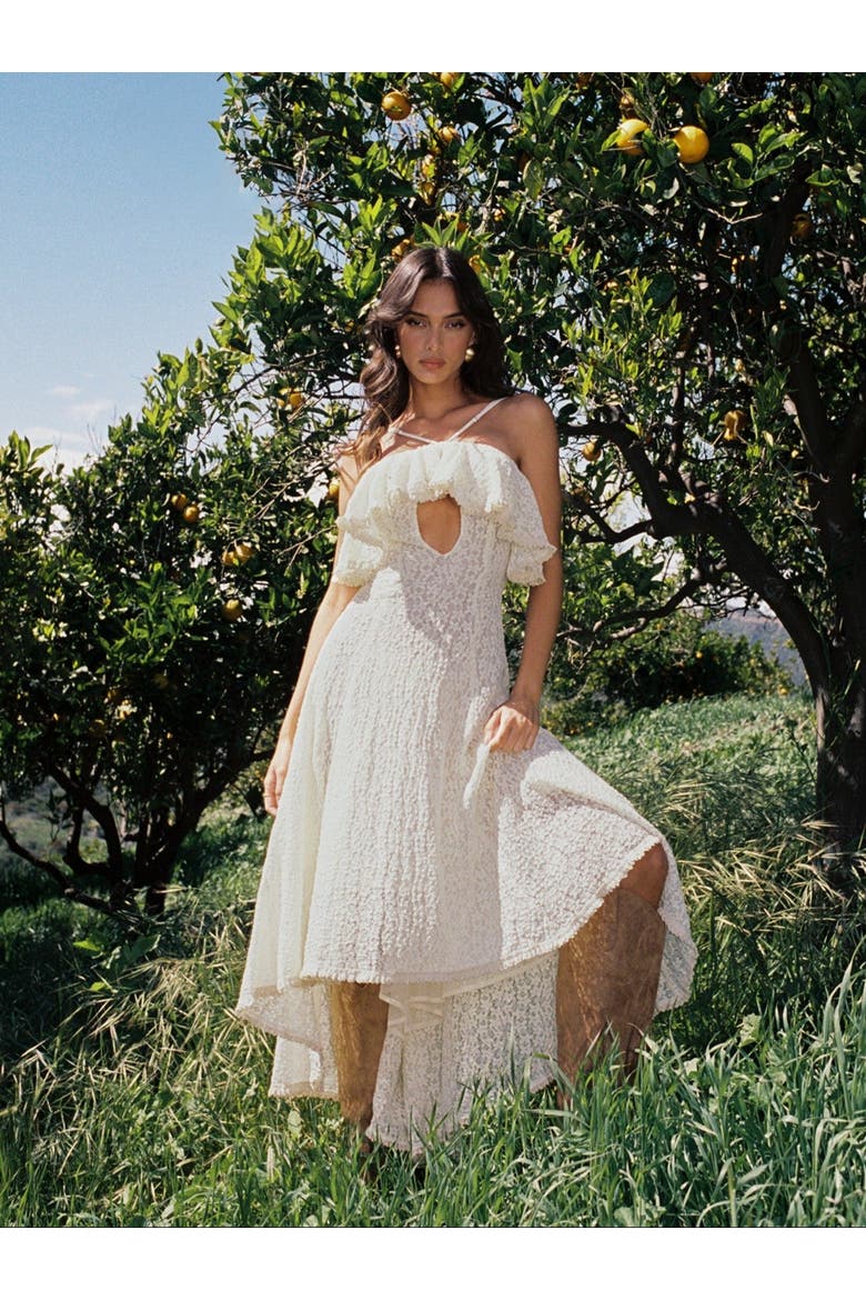 Idra Lace Trim Sleeveless Crochet Midi Trailing Dress, Alternate, color, Soft beige floral crochet