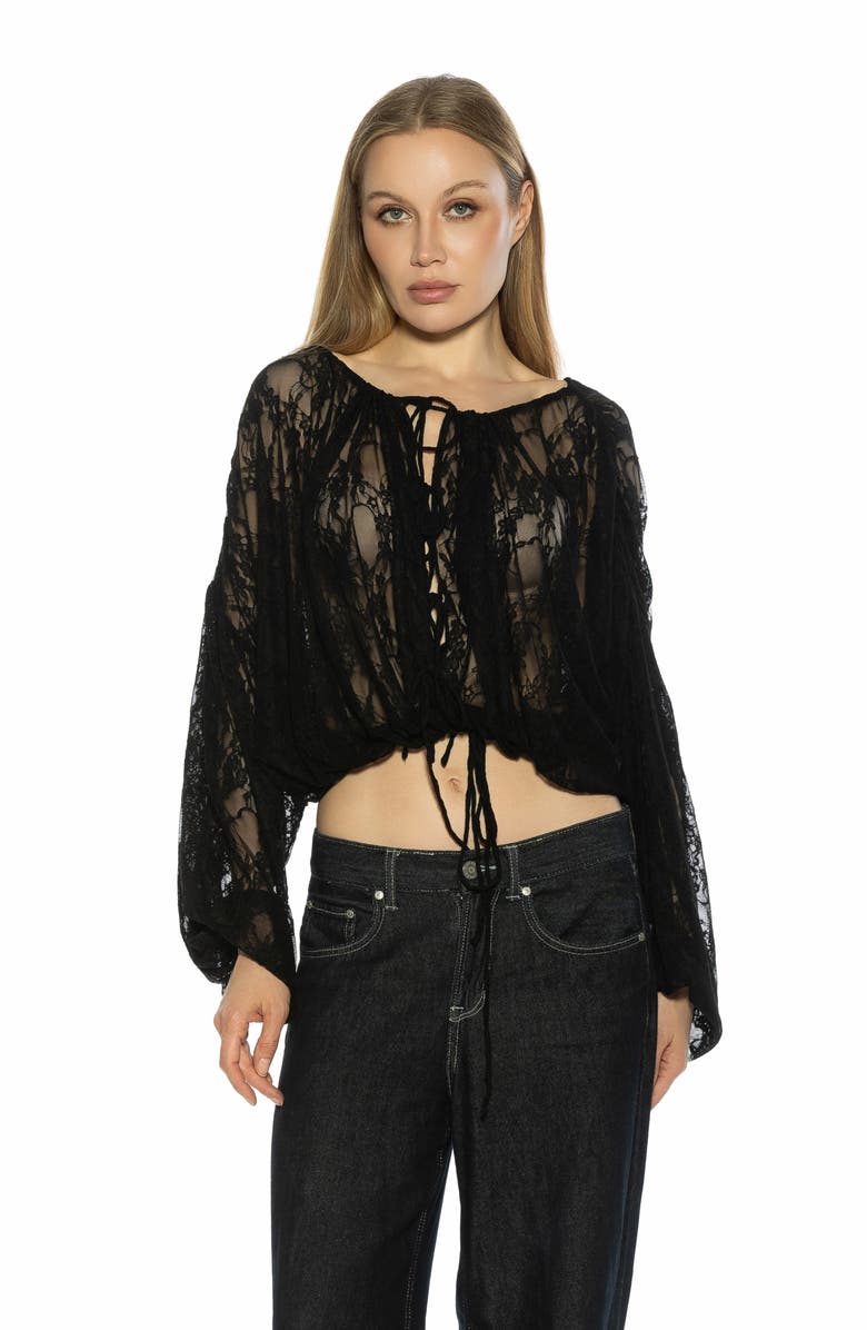 Alexia Admor Luca Sheer Lace Top, Alternate, color, Black