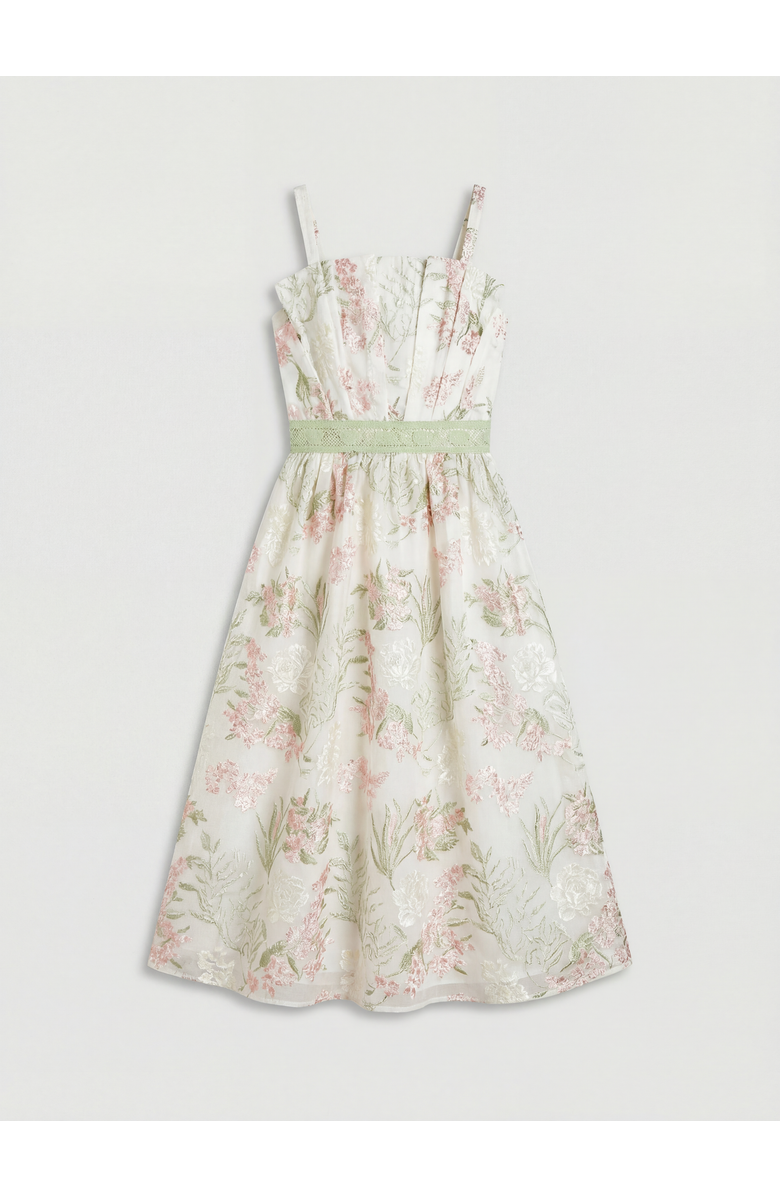 Coast Fan Bodice Embroidered Mesh Midi Dress, Alternate, color, Ivory