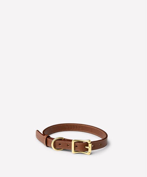 Leather Dog Collar