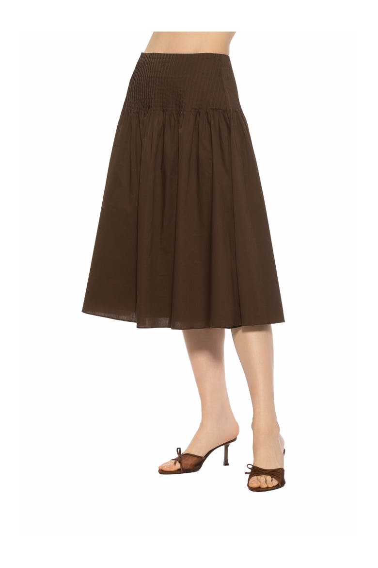 Esme Pintuck Waist Full Poplin Skirt, Alternate, color, Brown