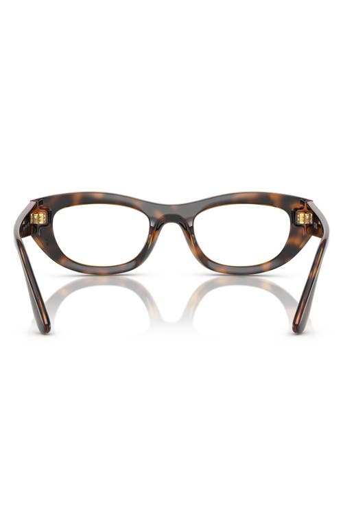 Vogue 51mm Oval Optical Glasses In Havana
