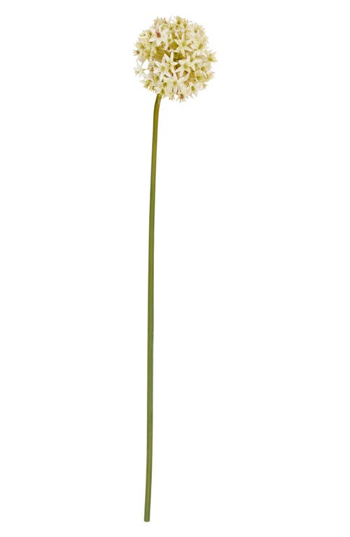 Sonoma Sage Home Set Of 8 Tall Allium Artificial Stems In White