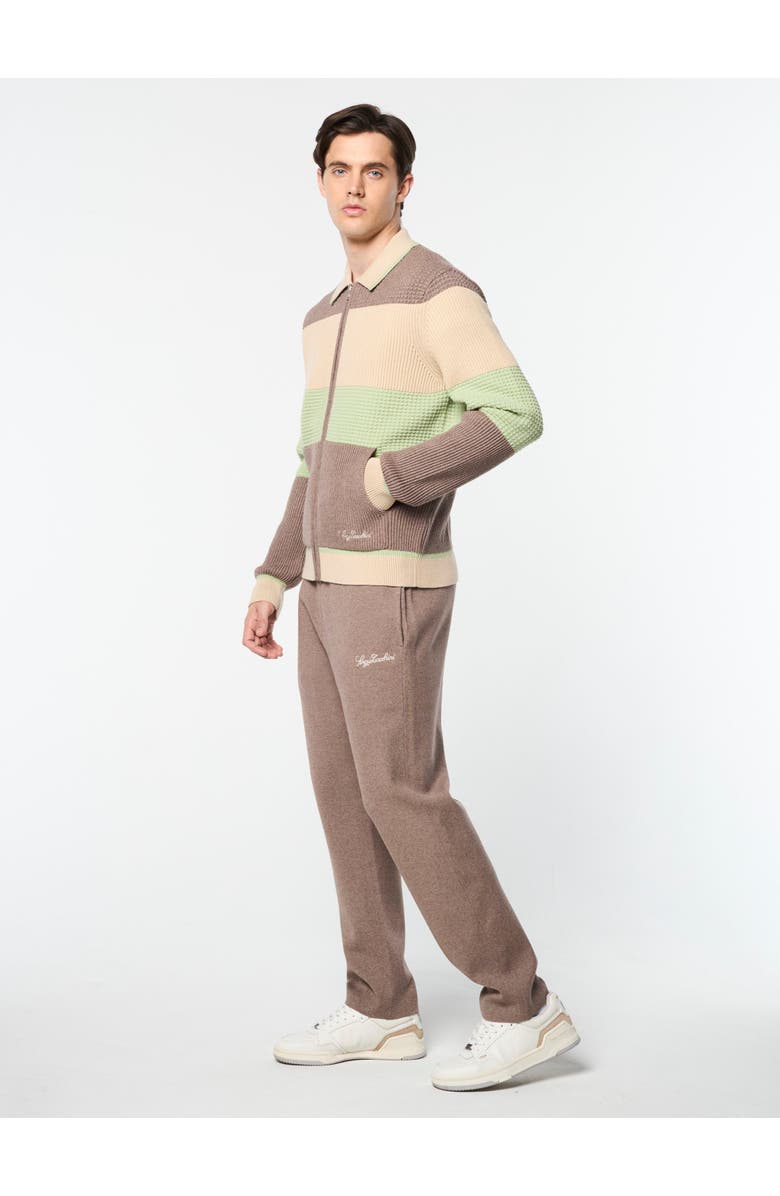 Sergio Tacchini Enzo Striped Track Jacket, Alternate, color, Taupe Grey