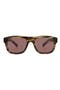selected Havana Havana Brown