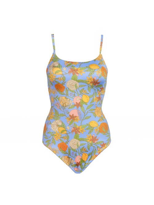 Kitty And Vibe Shelf Bra One Piece Swimsuit In Aurelia