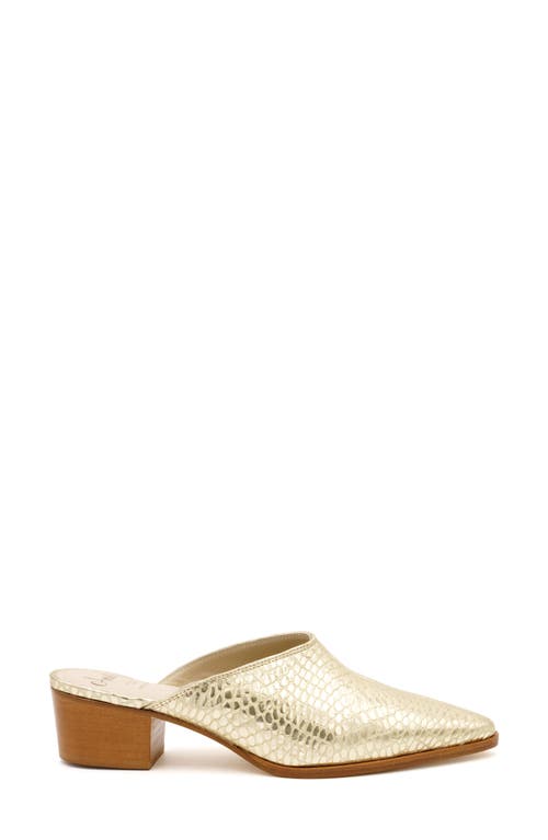 Amalfi By Rangoni Pensiero Pointed Toe Mule In Platino Alabama