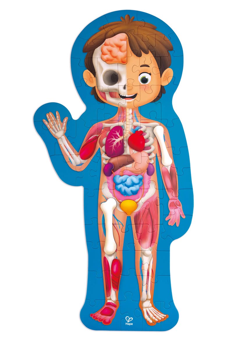 Human Body 50-Piece Puzzle, Alternate, color, MULTIPLECOLOR