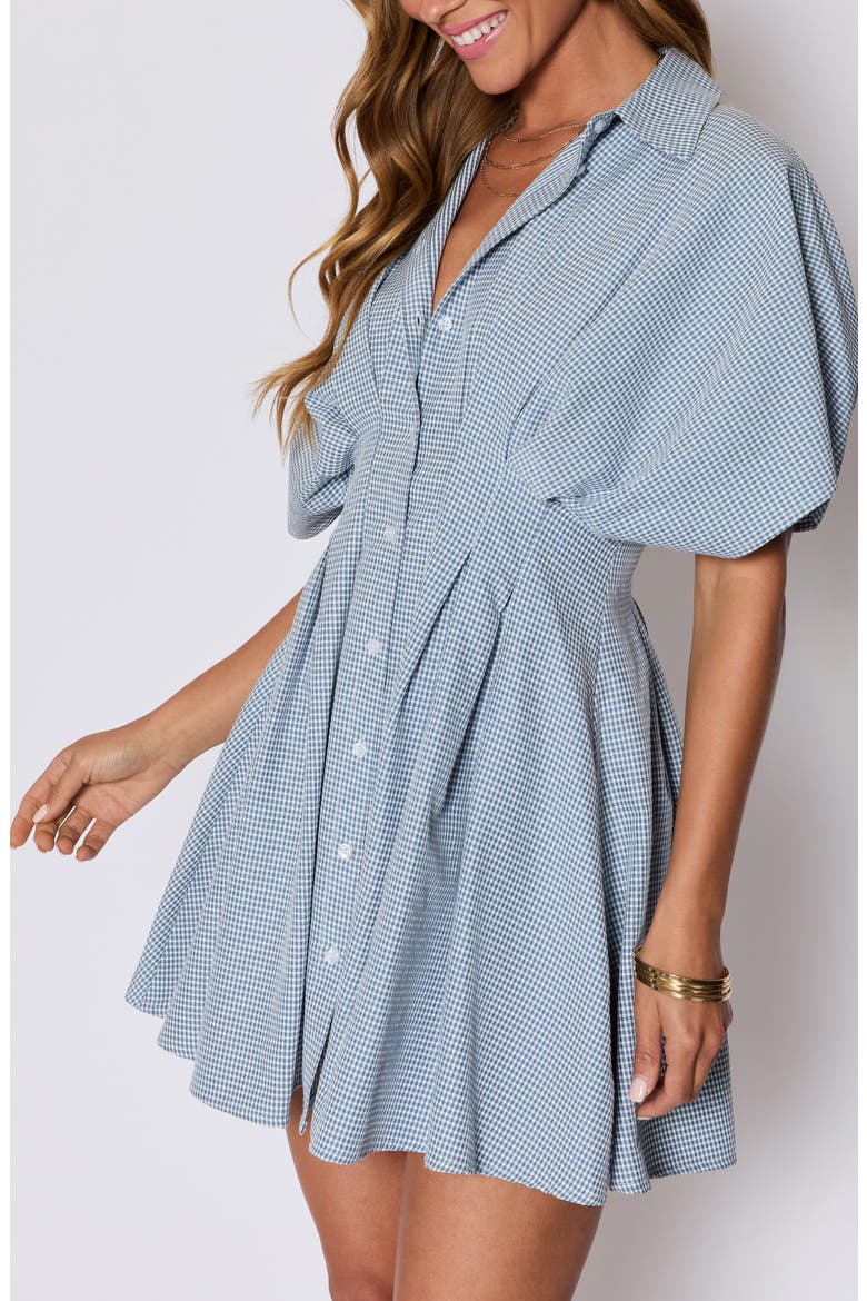 Benson Pleated Shirtdress (Nordstrom Exclusive), Alternate, color, BLUE/ WHITE