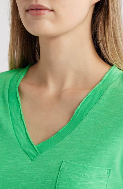 CASLONR CASLON(R) COTTON & MODAL V-NECK T-SHIRT