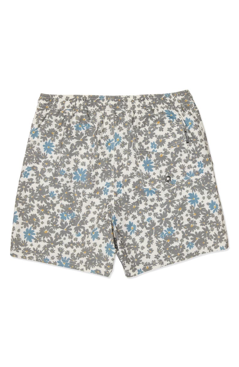 Ezekiel Victory Swim Shorts, Alternate, color,