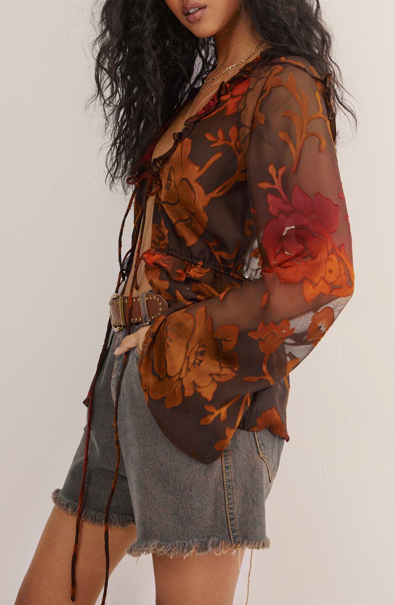 NASTY GAL Ruffle Sheer Burnout Top, Alternate, color, Brown