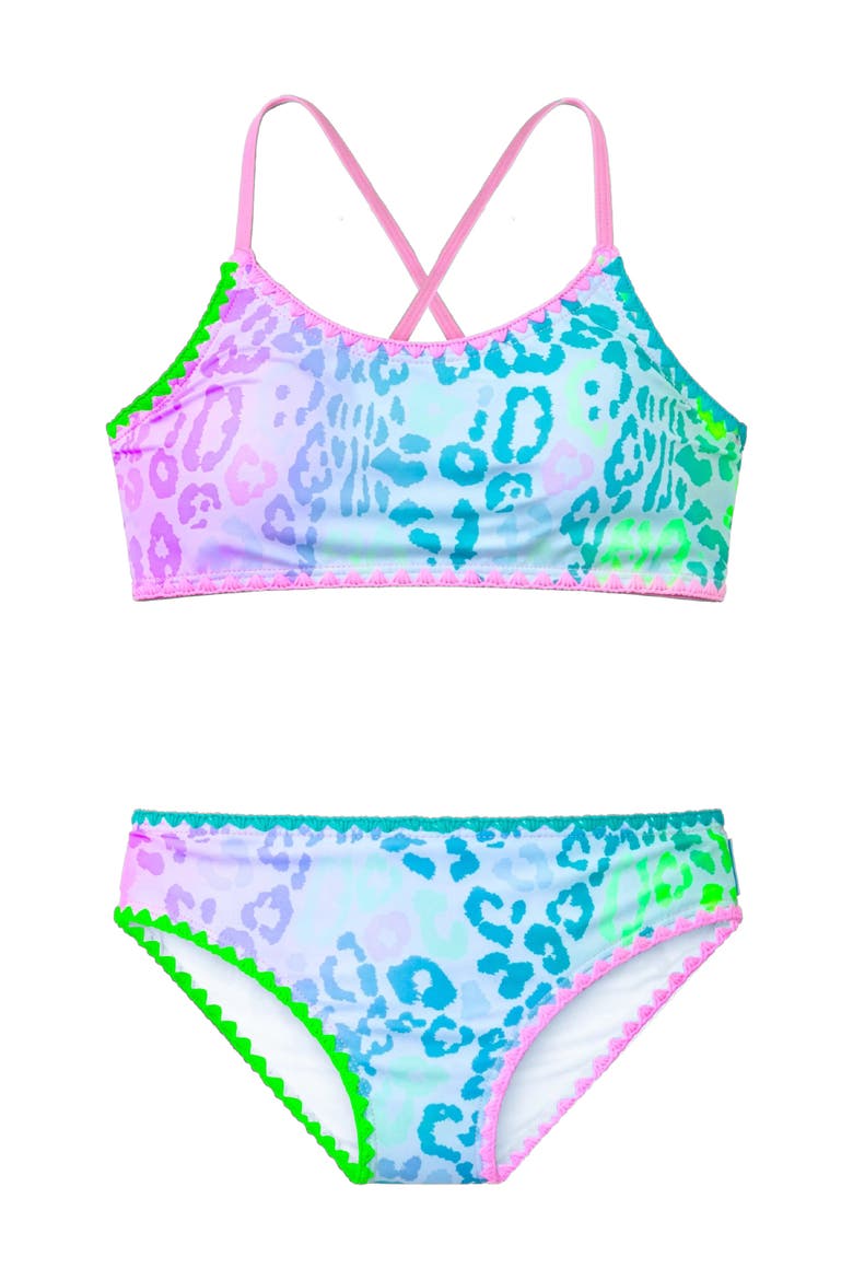 Leopard Print Bikini with Embroidered Trim, Alternate, color, Pink Multi