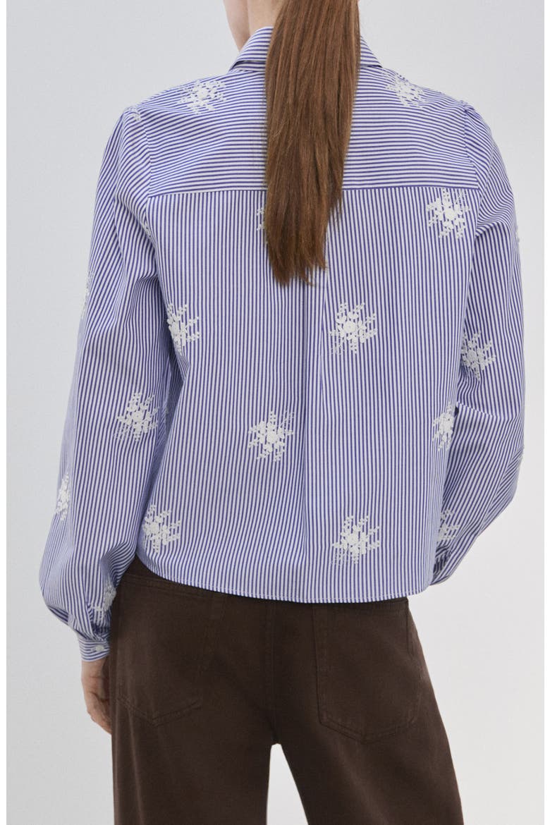Embroidered Stripe Shirt, Alternate, color, SKY BLUE
