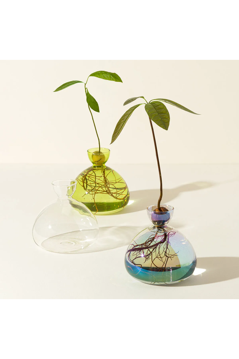 Avocado Vase by ilex Studio, Main, color, Grass Green