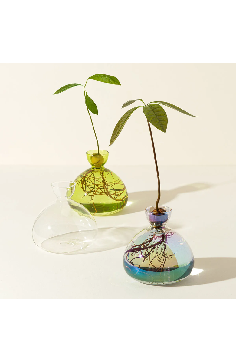 Uncommon Goods Avocado Vase by ilex Studio, Main, color, Grass Green