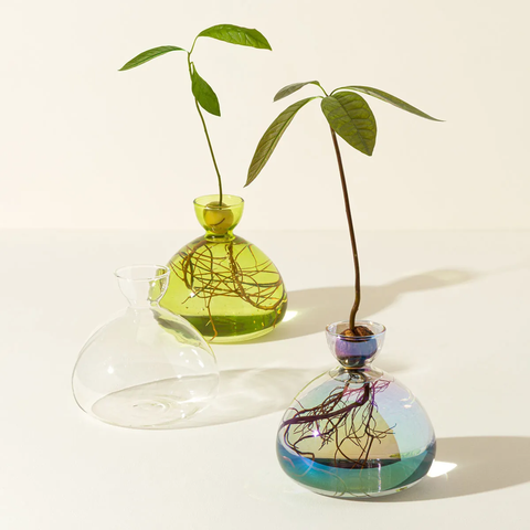 Avocado Vase by ilex Studio