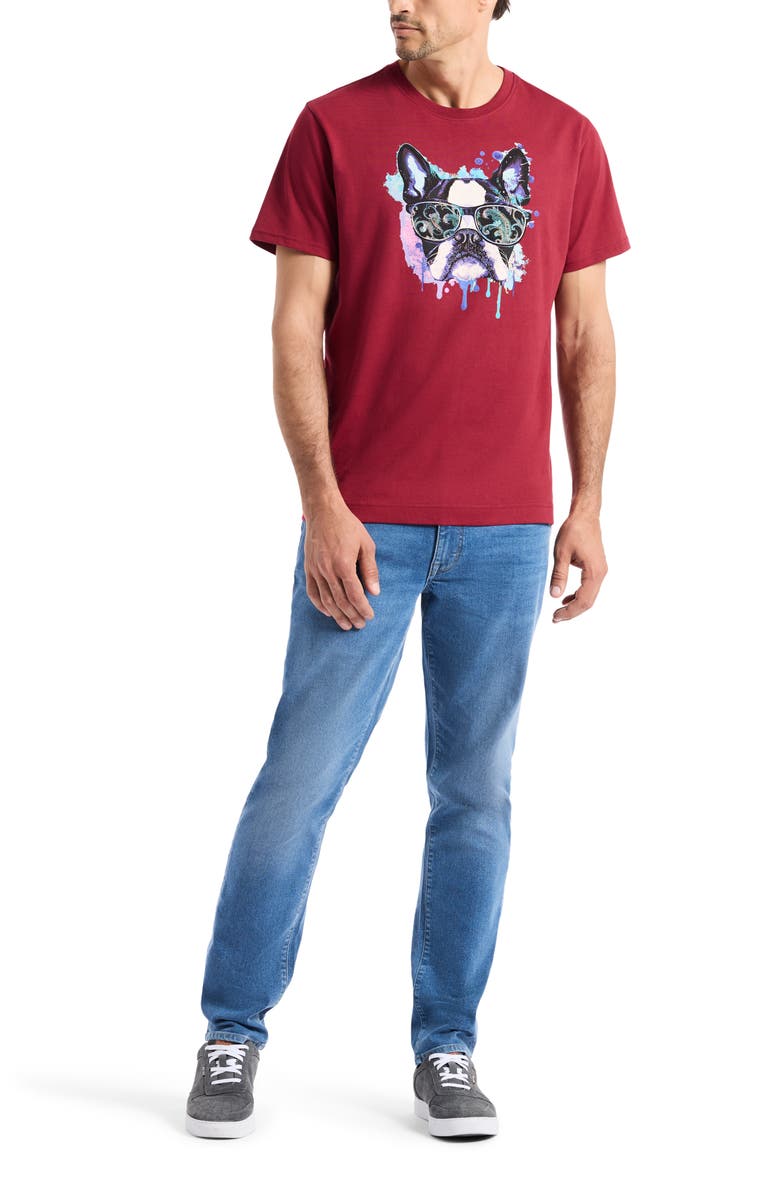Robert Graham Jet Set Frenchie Graphic T-Shirt, Alternate, color, Burgundy