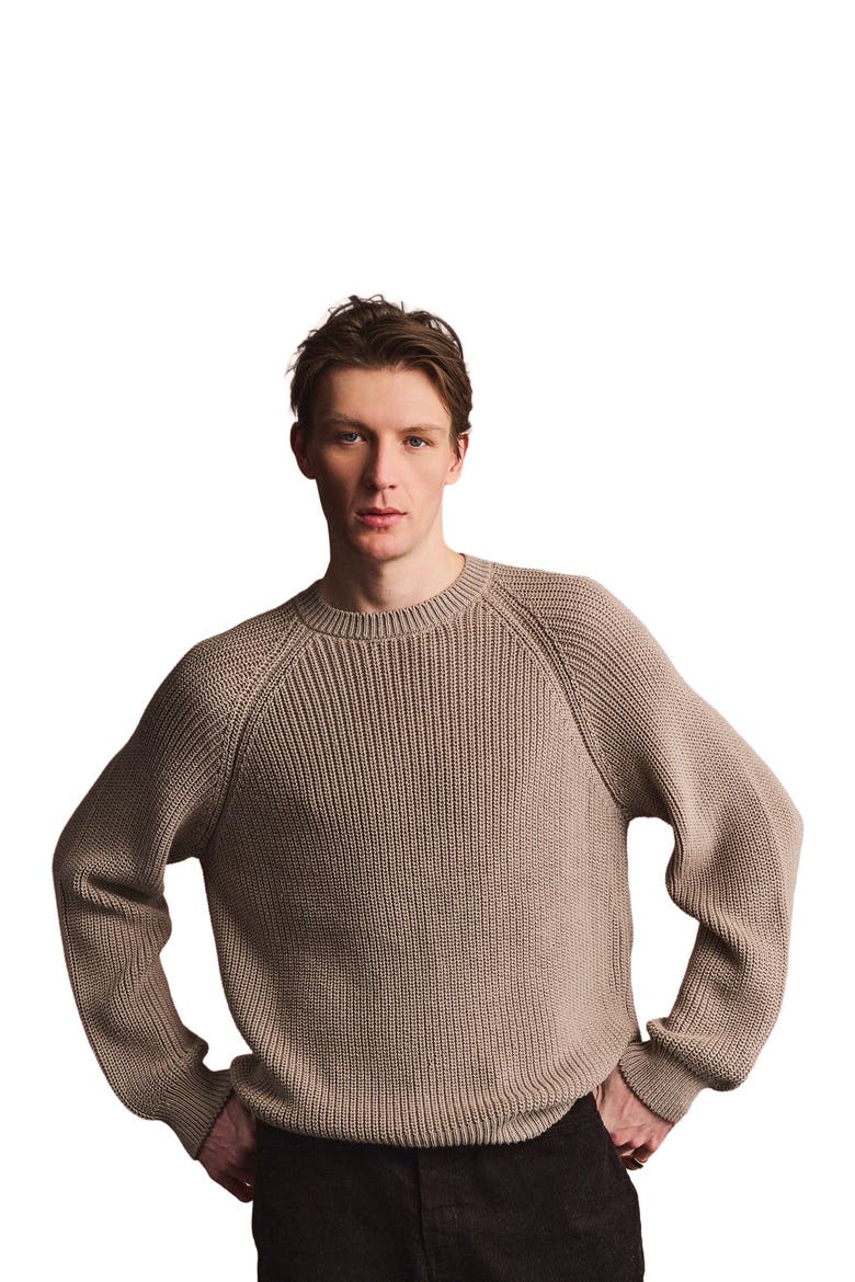 Cotton Fisherman Raglan Crewneck Sweater, Alternate, color, Sand
