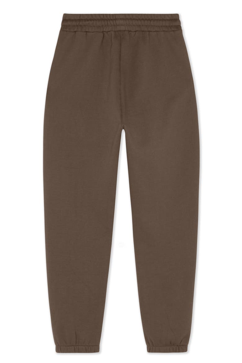 Ghost Midweight Fleece Regular Fit Track Pants, Alternate, color, Walnut
