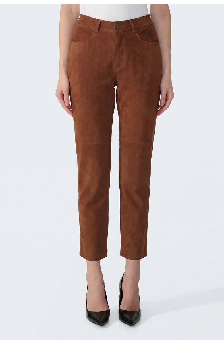 FURNIQ UK Suede Trousers, Main, color, Chestnut