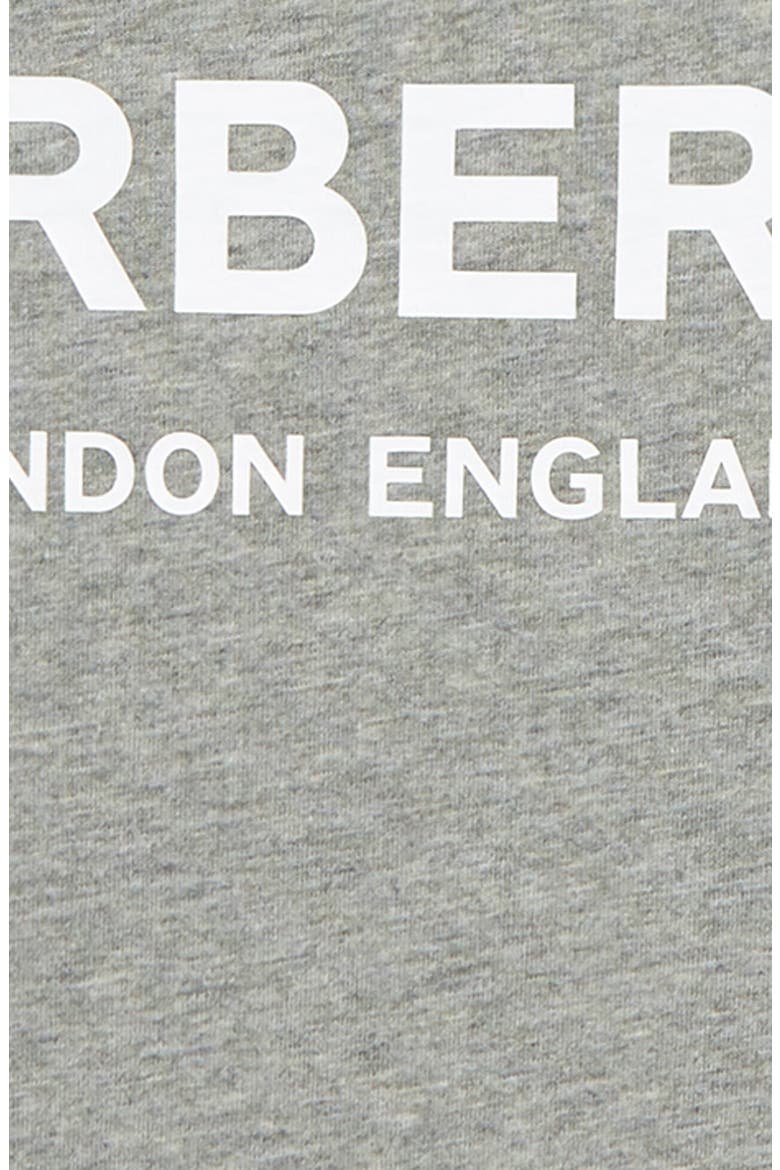 Robbie T-Shirt, Alternate, color, GREY MELANGE