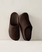 Haven Well Within Suede Clogs