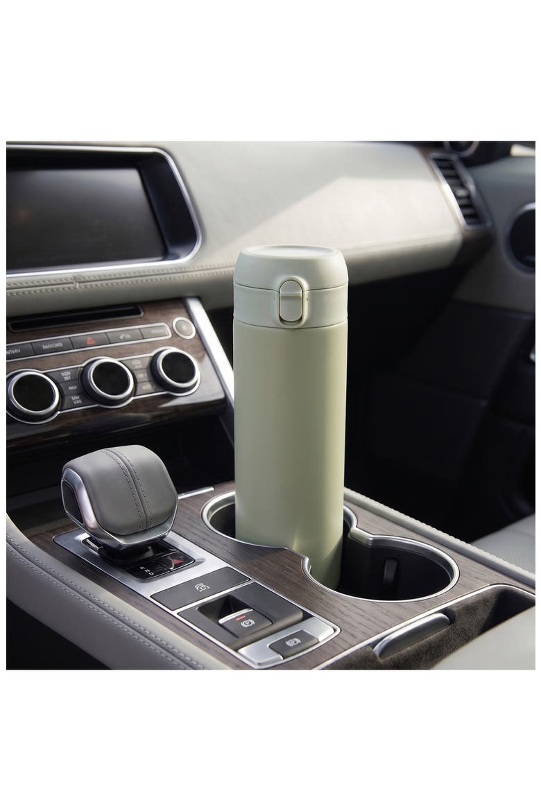 Leo 24-Ounce Stainless Steel Thermal Water Bottle, Alternate, color, SAGE