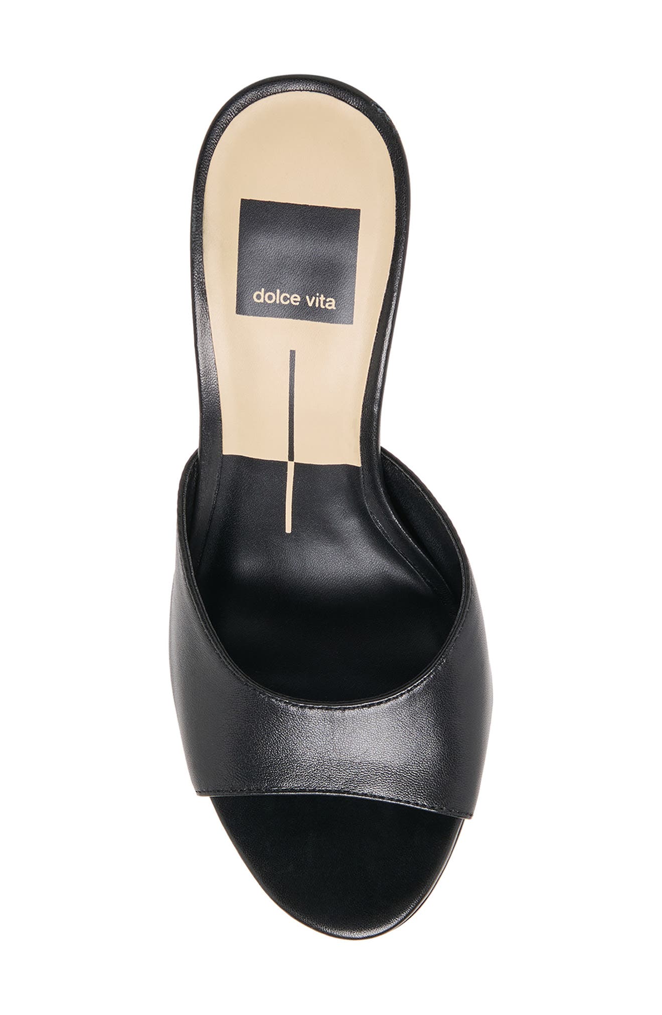 Dolce Vita Rosha Slide Sandal, Alternate, color, Black Leather
