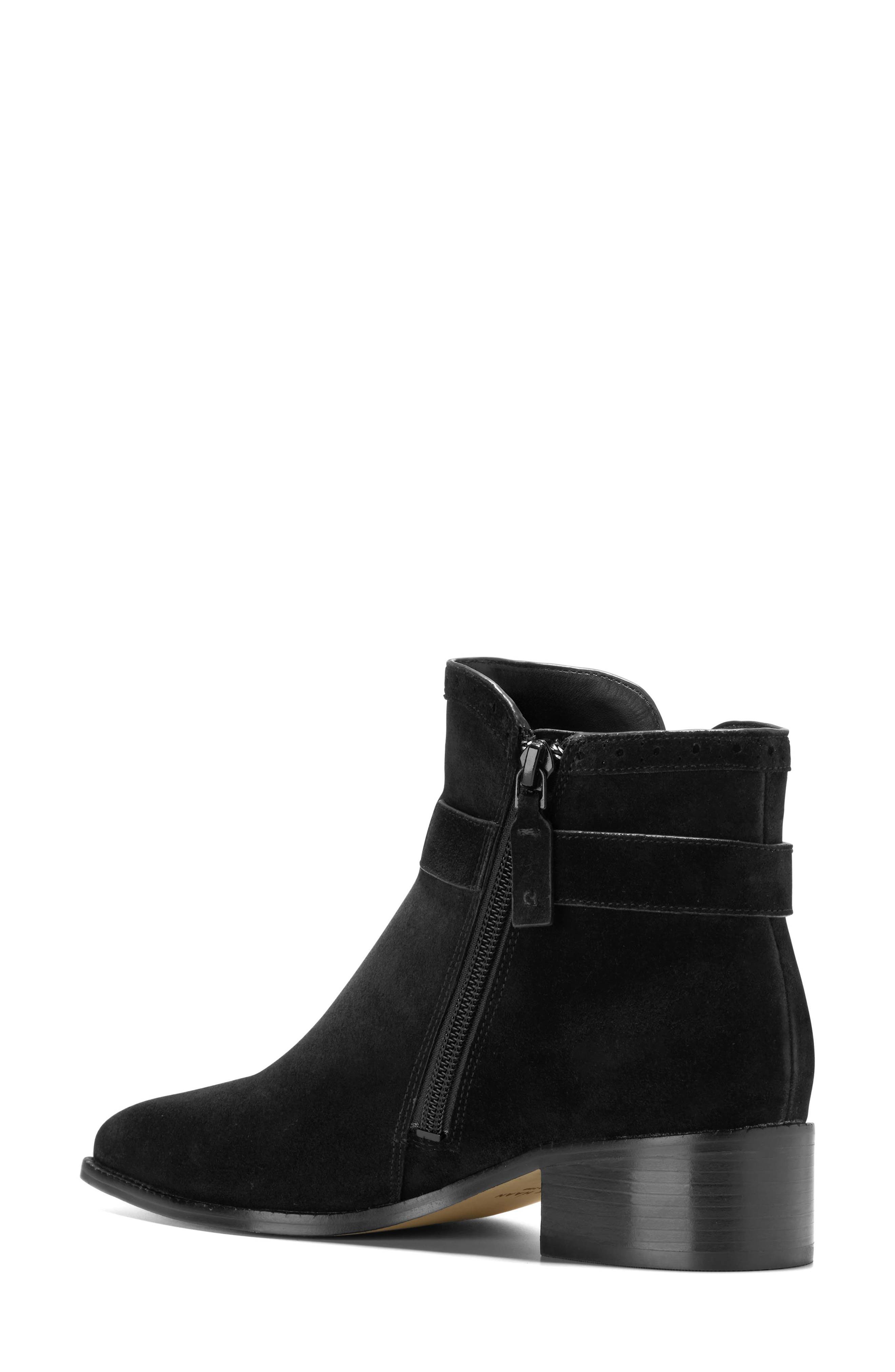 Cole Haan Norella Buckle Bootie, Alternate, color, Black Suede