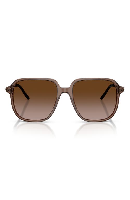 Moncler 54mm Pilot Sunglasses In Shiny Transparent Brown