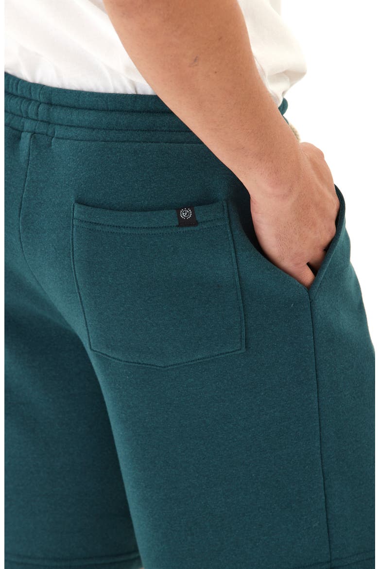 Garrett Drawstring Fleece Shorts, Alternate, color, SERRANO