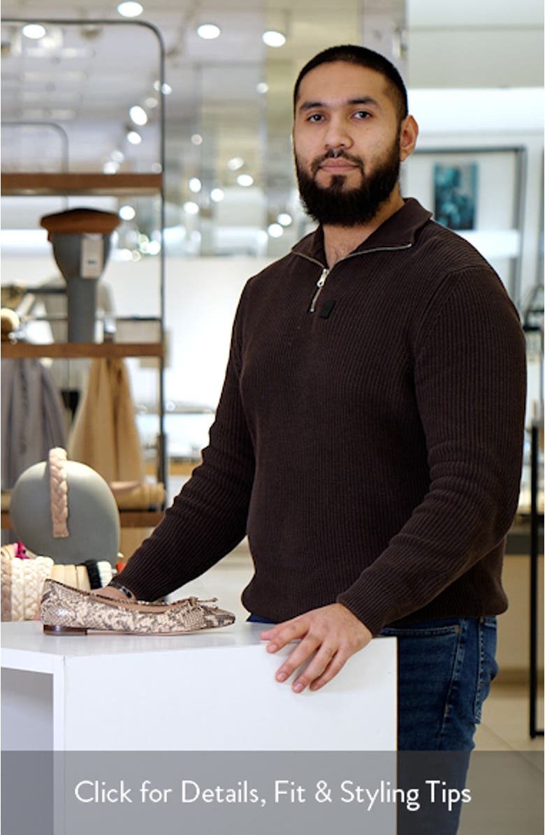 Chlea Pointed Toe Ballet Flat, sales video thumbnail