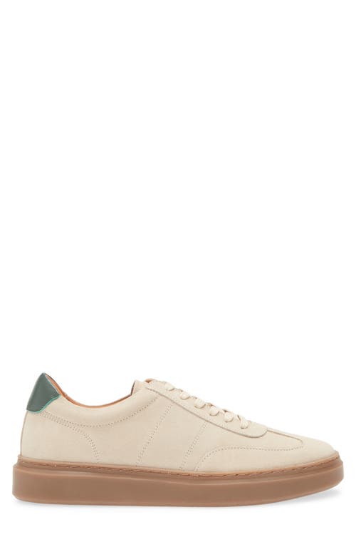 Bruno Magli Serafino Low Top Sneaker In Off White/green Suede
