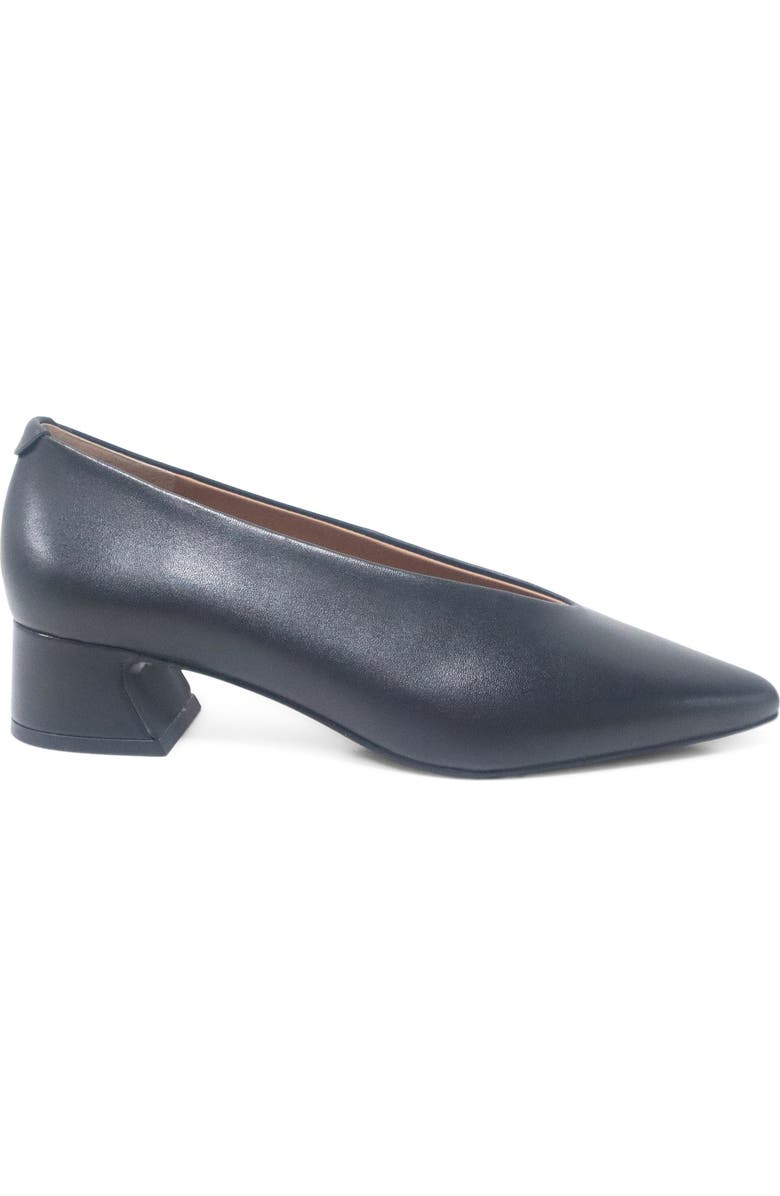 Gentle Souls Galleria Pointed Toe Pump, Alternate, color, Black Leather