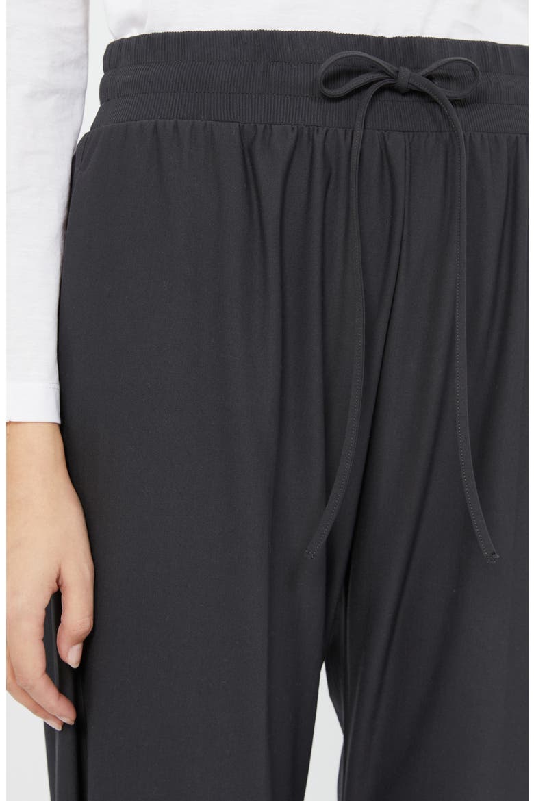 Aderire Tie Waist Pants, Alternate, color, DARK GREY